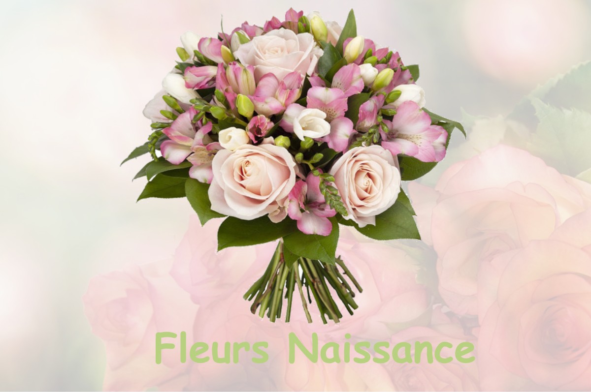 fleurs naissance SAINTE-AGATHE-LA-BOUTERESSE